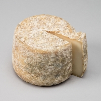La Tommette du Pic - Coupe